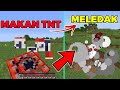 Minecraft Tapi Aku Bisa MAKAN Semua Block