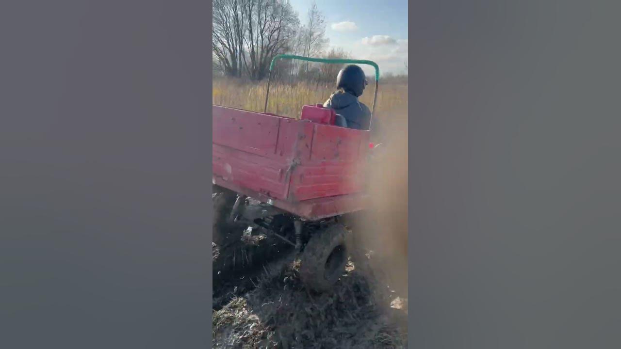 Муравей на Квадро колесах