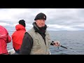 FISH M: Atlantic Halibut in Norway (Fiskedrag S07)