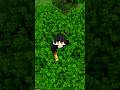 Minecraft Edit 🥔 #minecraftvideos #minecraft #gaming