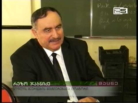 მამია გოგოლიშვილის სახელობის აუდიტორია გაიხსნა