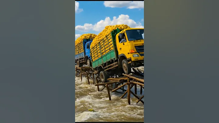 🌊💥 Flash Flood Destroys Wooden Bridge — Banana Trucks Fall One by One! #viralvideo #flood