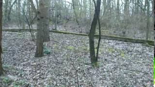 How to throw a pine-cone