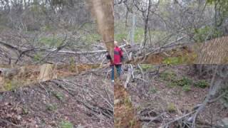 One Cache to Rule Them All