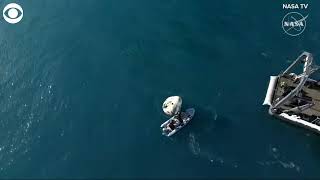 Dolphins spotted swimming near SpaceX Crew Dragon Capsule after splashdown