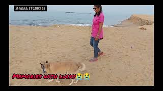 Memories with my lucky ##riplucky #ripvedio#vlog #petlove #missyouamma #shamastudioss