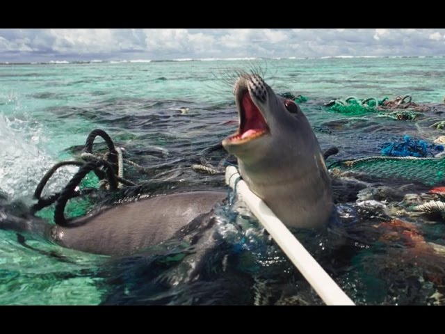 Recycling the damaged fishing nets polluting our oceans 