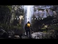 Forest Falls // Cinematic Travel Film - Sony A7III