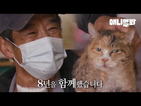 시간이 얼마 남지 않은 고양이 주인의 마지막 소원ㅣLast Wish Of A Cat&amp;#39;<strong>s</strong> Owner Who <strong>Only</strong> Has Little Time Left To Live