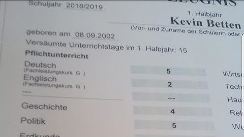 Shield Stealth Cracked Modules