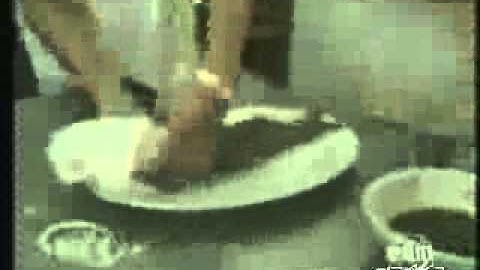 From www metacafe com] 652240 4177650 1