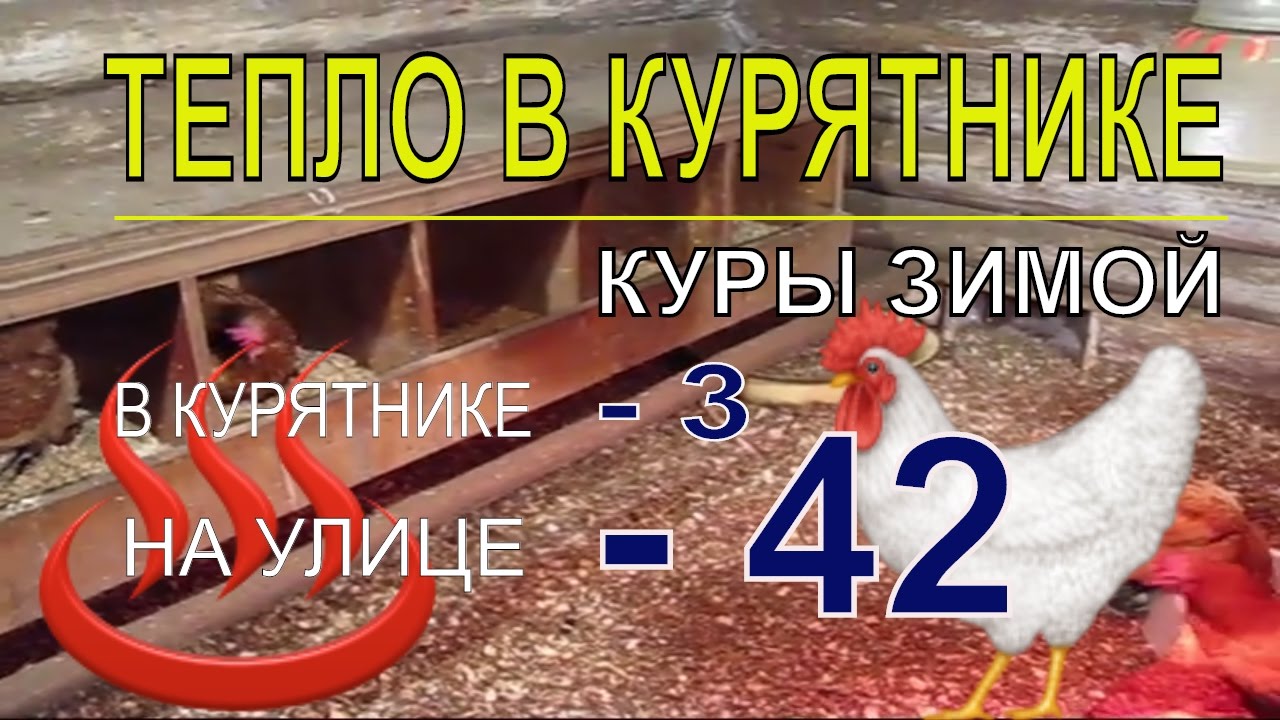 МОРОЗ 42.  в КУРЯТНИКЕ С КУРАМИ НЕСУШКАМИ ЗИМОЙ ТЕПЛО в хозяйстве на своём участке