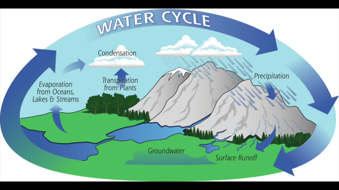 The Water Cycle: 5th Grade Learning - YouTube