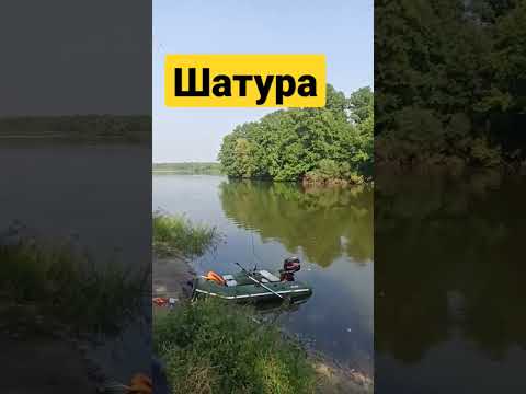 Отдых и рыбалка  в Шатуре на канале!