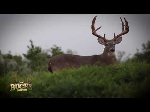 The Bucks of Tecomate - Texas Dream Buck - Outdoor Channel - YouTube