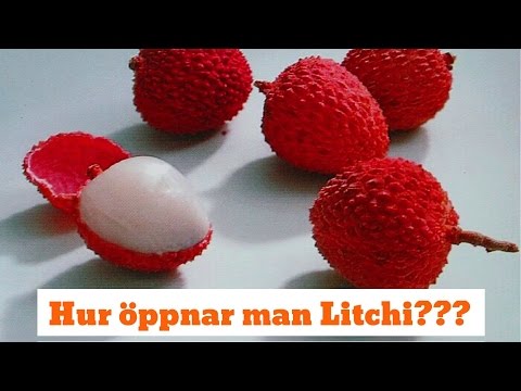 Video: Hur ofta bär ett litchi-träd frukt?