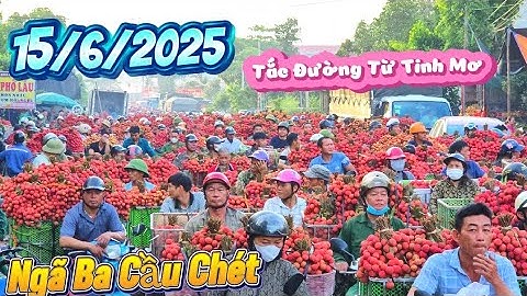 GIÁ VẢI THIỀU LỤC NGẠN BÀ CON BÁN SỚM TINH MƠ I NÚI ĐỒI LỤC NGẠN