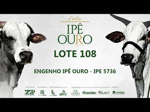 LOTE 108   IPE 5736