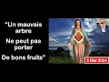 Un mauvais arbre ne peut pas porter de bons fruits  message de la reine du rosaire  trevignano