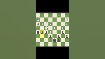 Magnus VS Gukesh💎 #chess #magnus #edit #mastermind #chessgrandmaster #chessgame #magnuson