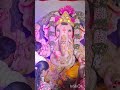 GaneshChaturthi Bangalore #ganesh #ganpati #bangalore #trending #shorts #sidhivinayak #reels #follow