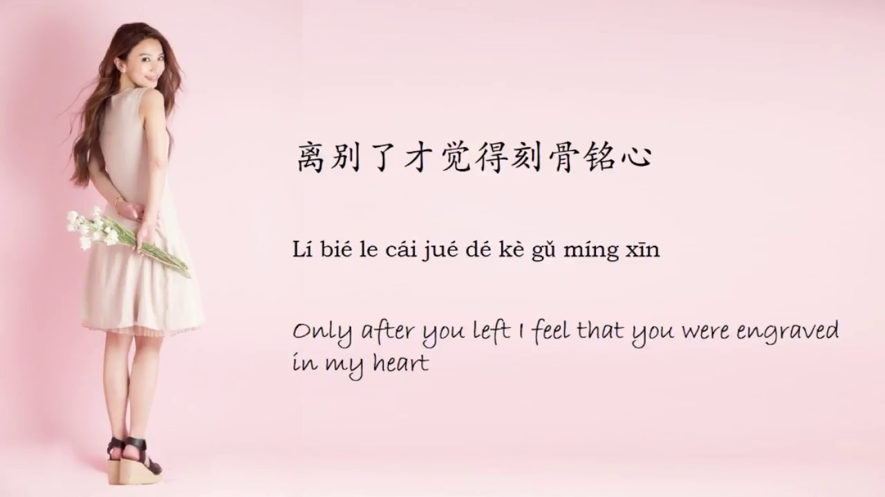 【白月光与朱砂痣-大籽】BAI YUE GUANG YU ZHU SHA ZHI-DA ZI /TIKTOK,抖音,틱톡/Pinyin Lyrics, 拼音歌词, 병음가사/No AD, 无广告