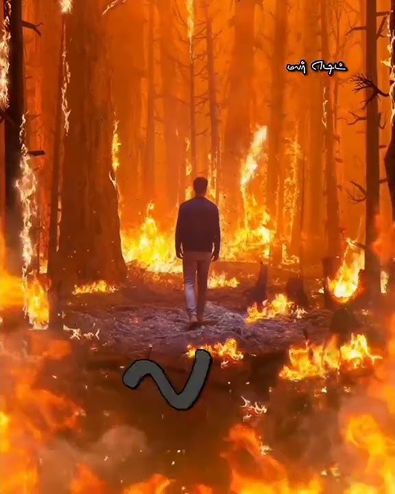 Vaa vaa enthan nilave vennilave love song WhatsApp status