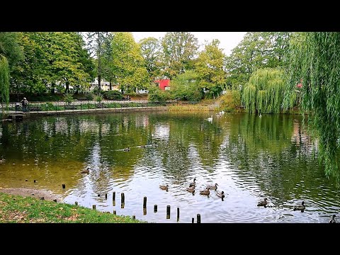 Best Tourist Attractions you MUST SEE in Koszalin, Poland | 2019