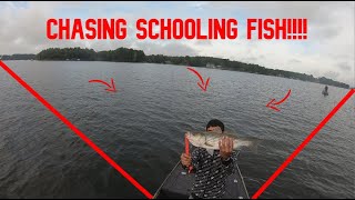 CHASING NON FEEDING SCHOOLING FISH BUT CATCHING THEM WITH A SIMPLE TIP!!!!