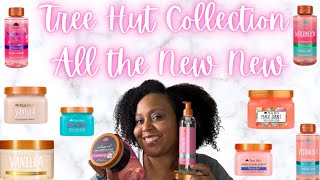REVIEWING MY TREE HUT COLLECTION & RANKING ALL THE NEW NEW FROM TREE HUT