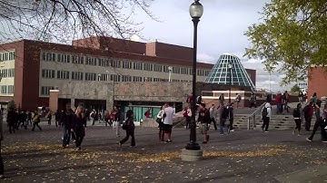 Tutorial 1 for Com 210