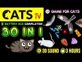 Game for cats  30 in 1 games compilation  battery eco 3 hours cats tv