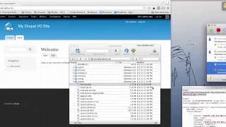 How to put a VoiceZam Player on your website using Drupal
