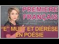 Posie et vers  compter les syllabes  franais premire  les bons profs