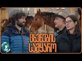 ცხენების სამყარო სასწაულის ძიებაში