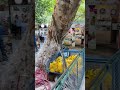 Саклыкент. Турция.