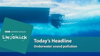 Underwater Sound Pollution: Lingohack