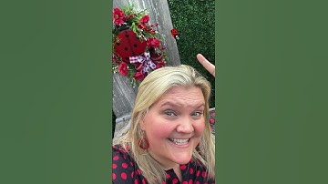 Red & Black Lady Bug Wreath Kit | Fun DIY Door Decor for Summer