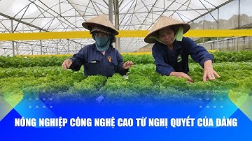 Nông nghiệp công nghệ cao từ Nghị quyết của Đảng | Báo và PTTH Lâm Đồng