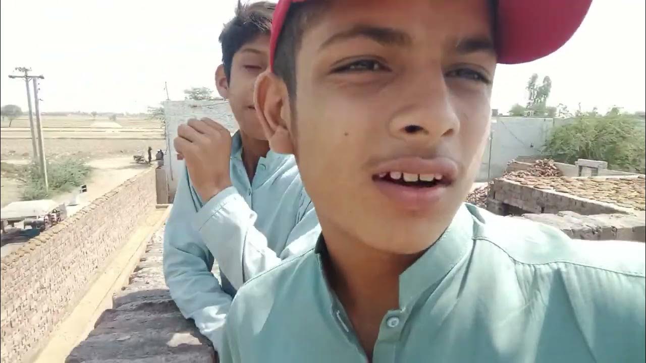 new video murga ke bare mein seal murgi Tala bhai aur bhaiya bhai ki