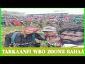 Tarkaanfi WBO ZOONII BAHAA Itti Dhiyaadha 