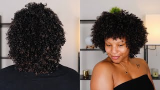 My First Wash N&#39; Go After My Big Chop | My Journey To Waist Length Natural Hair