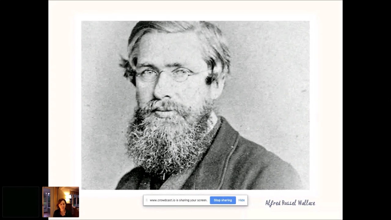 Darwin S Rival Alfred Russel Wallace And The Search For Evolution Ties Webinar W Christiane Dorion Youtube