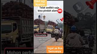 Akibatnya Pengendara Motor Egk Sabar Hdanir Tertimpa Sawit