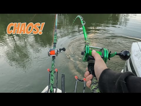 I Couldn’t Keep Up.. Flatheads Hitting Every Rod! 
