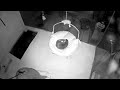 Otter indoor cam