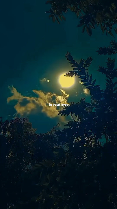 Dandelions - ruth b | lyrics | aesthetic | Whatsapp Status | English songs | slowed | speed up