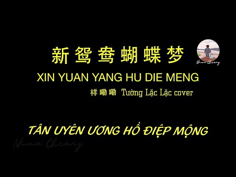 Tân Uyên Ương Hồ Điệp Mộng •  Tường Lặc Lặc cover 祥嘞嘞  •  新鸳鸯蝴蝶梦【PinyinLyrics/动态歌词/Vietsub】