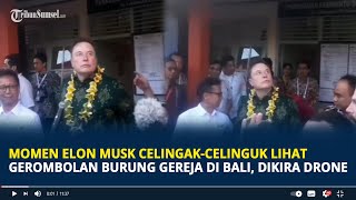Viral Momen Elon Musk Celingak-celinguk Lihat Gerombolan Burung Gereja di Bali, Dikira Drone by Tribun Sumsel 18,416 views 10 hours ago 2 minutes, 14 seconds