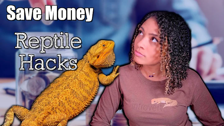 How To Save Money Keeping Reptiles